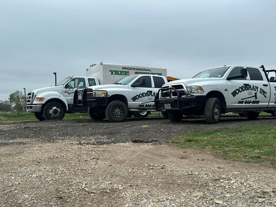 Three white trucks parked on gravel, one with open door, signage WOODRAY CUT.
