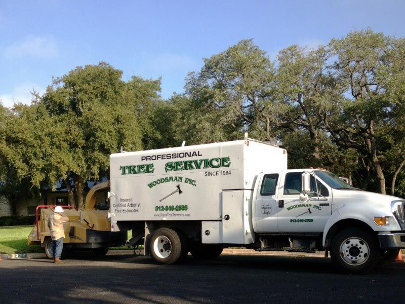 A tree service truck is parked next to another truck