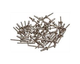 A pile of stainless steel rivets on a white background.