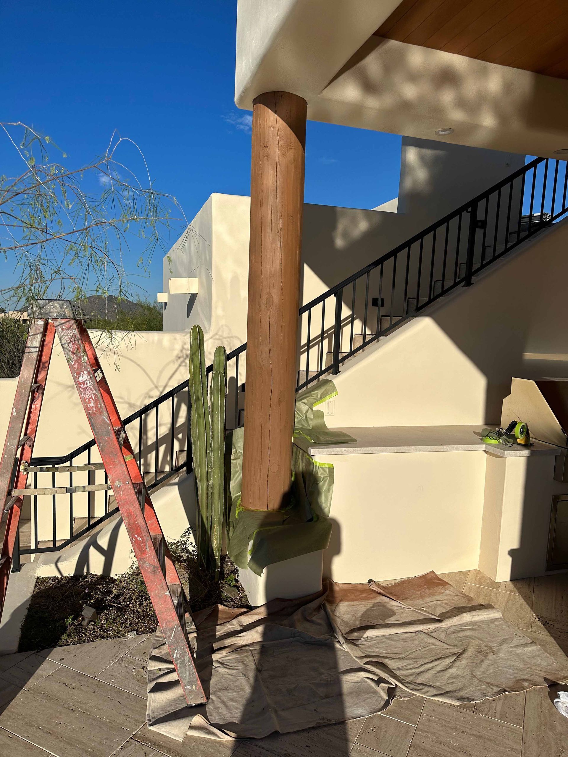 A ladder is sitting on the side of a building next to a cactus.