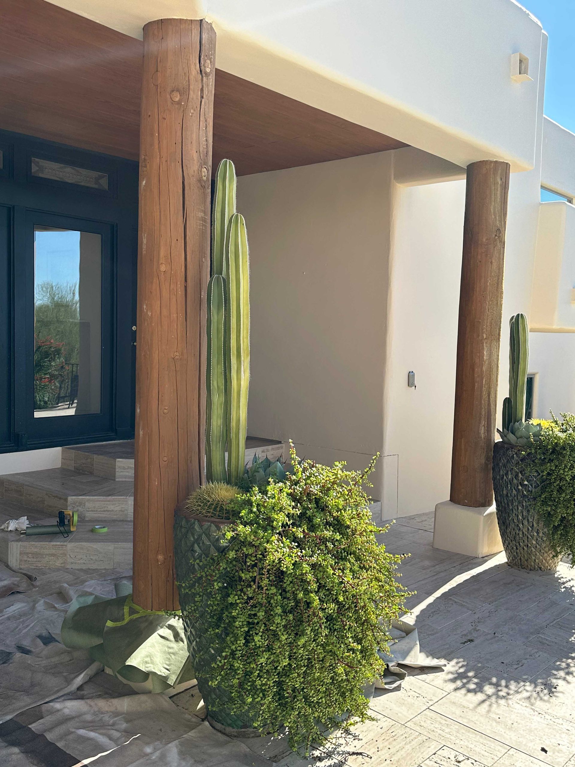 A house with a lot of potted plants and cactus in front of it.