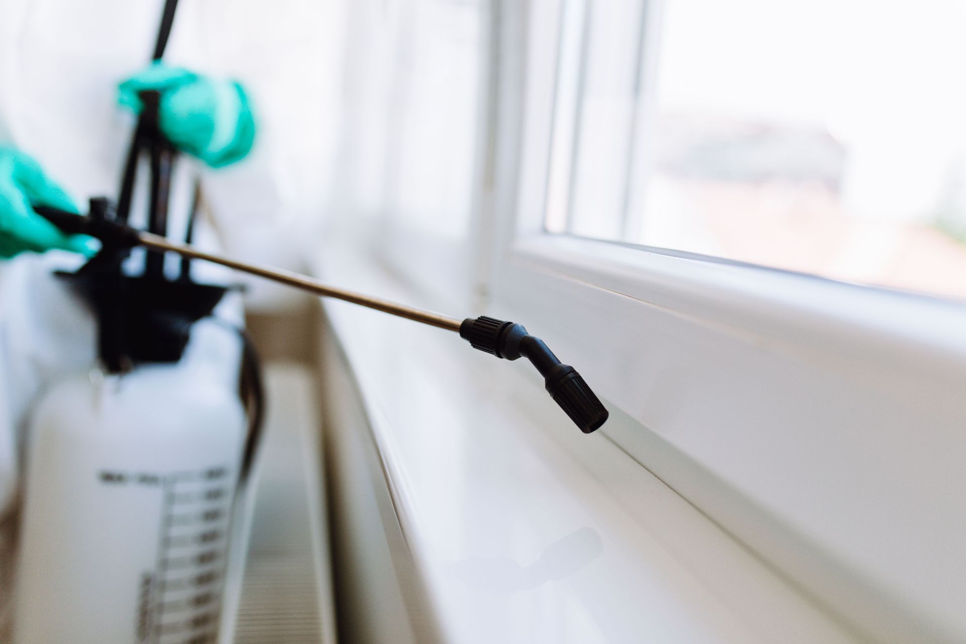 Reasons Why DIY Pest Control Methods Fail