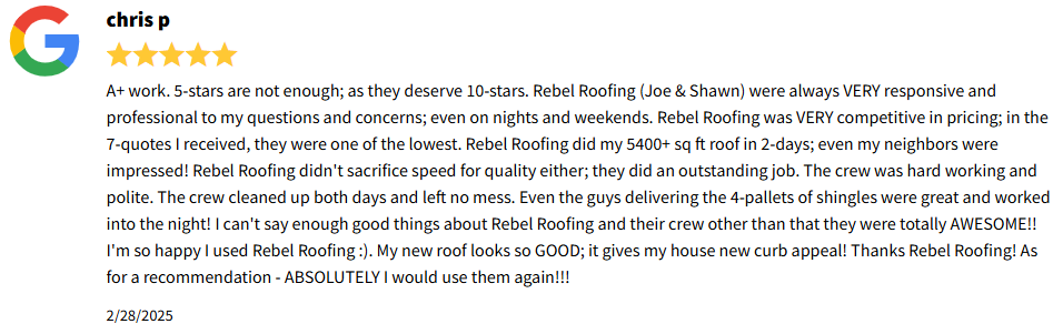 Rebel Roofing review