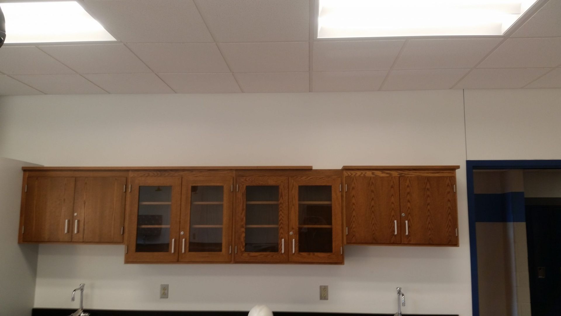 Wooden cabinets mounted on white wall above a laboratory sink.