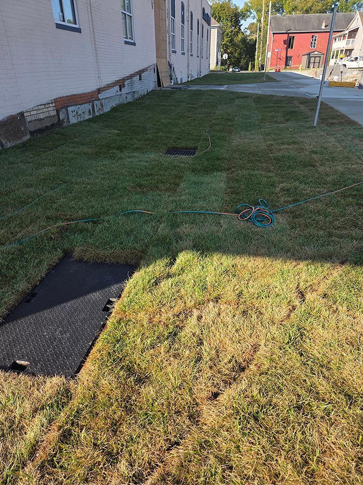 Green grass and brown patch of dying grass next to a building and street.