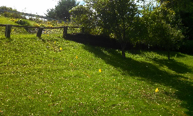 Retaining Walls