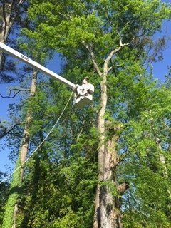 Bucket truck service