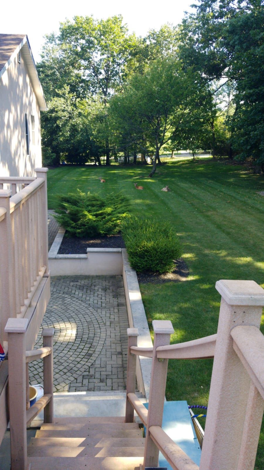 A wooden deck with stairs leading up to a lush green lawn.