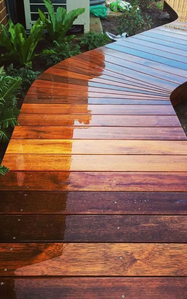 A wooden walkway with a few plants on the side of it.