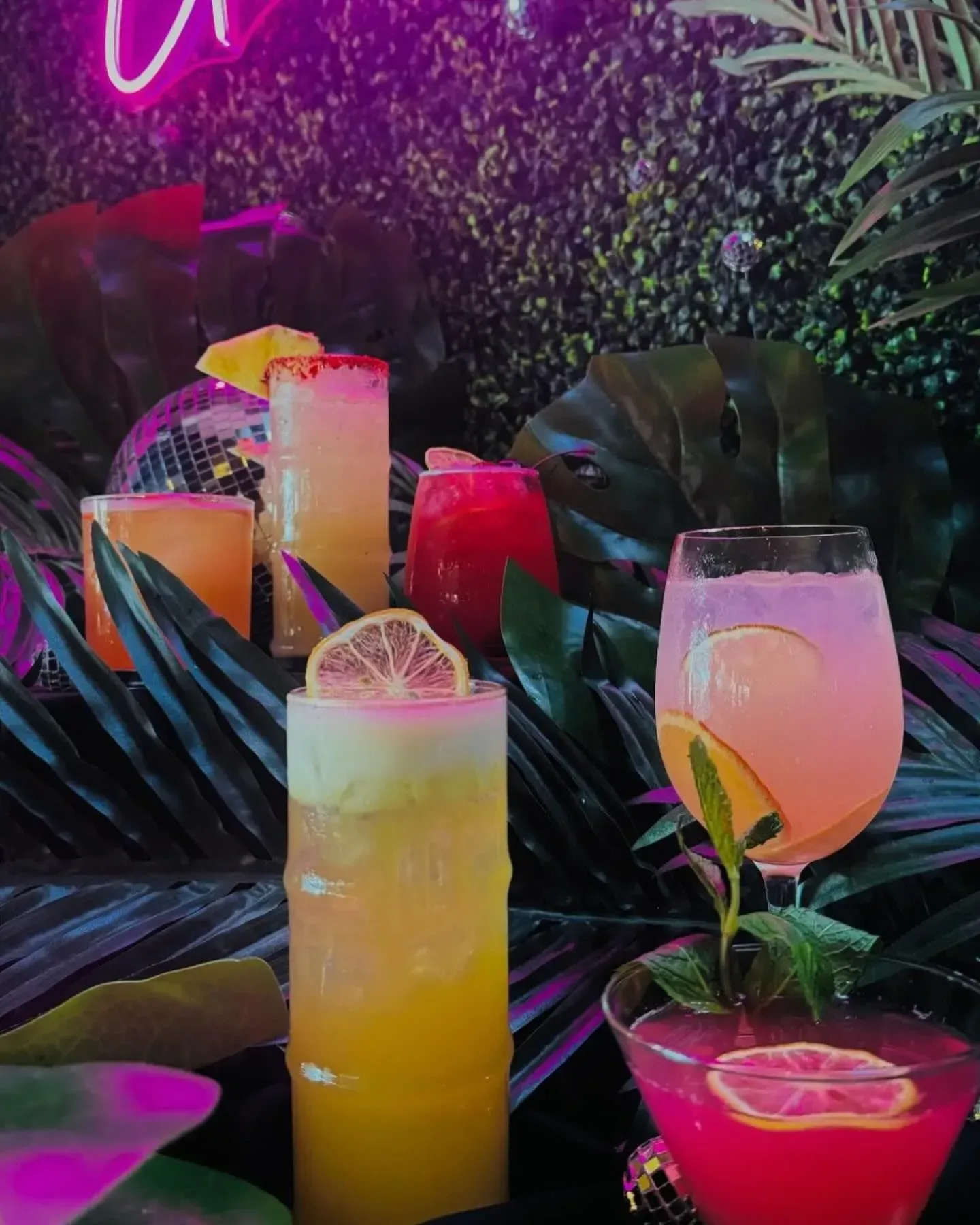 Cocktails on display, surrounded by lush greenery, illuminated by purple lighting.