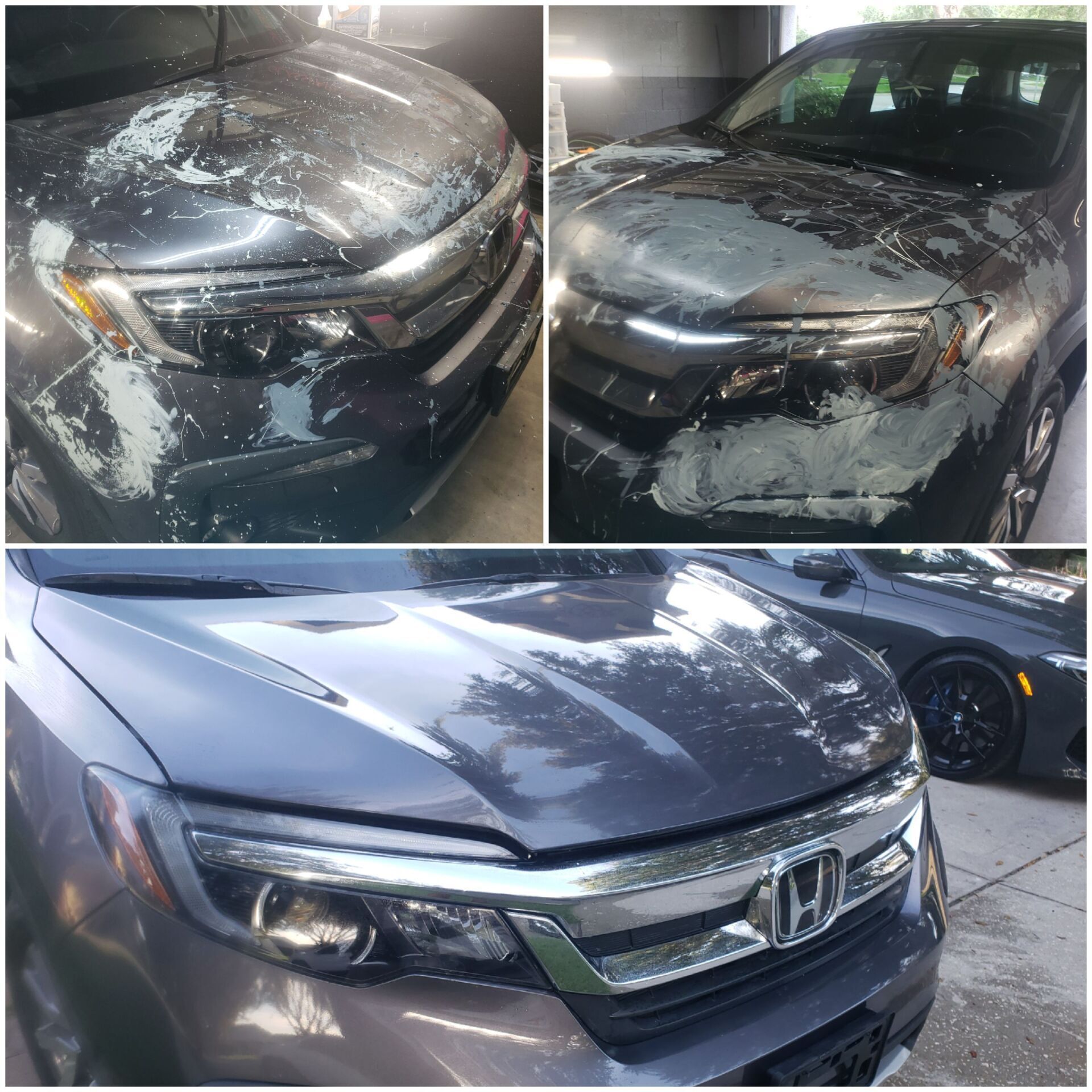 Paint Overspray Removal Paint Detailing Riverview, FL