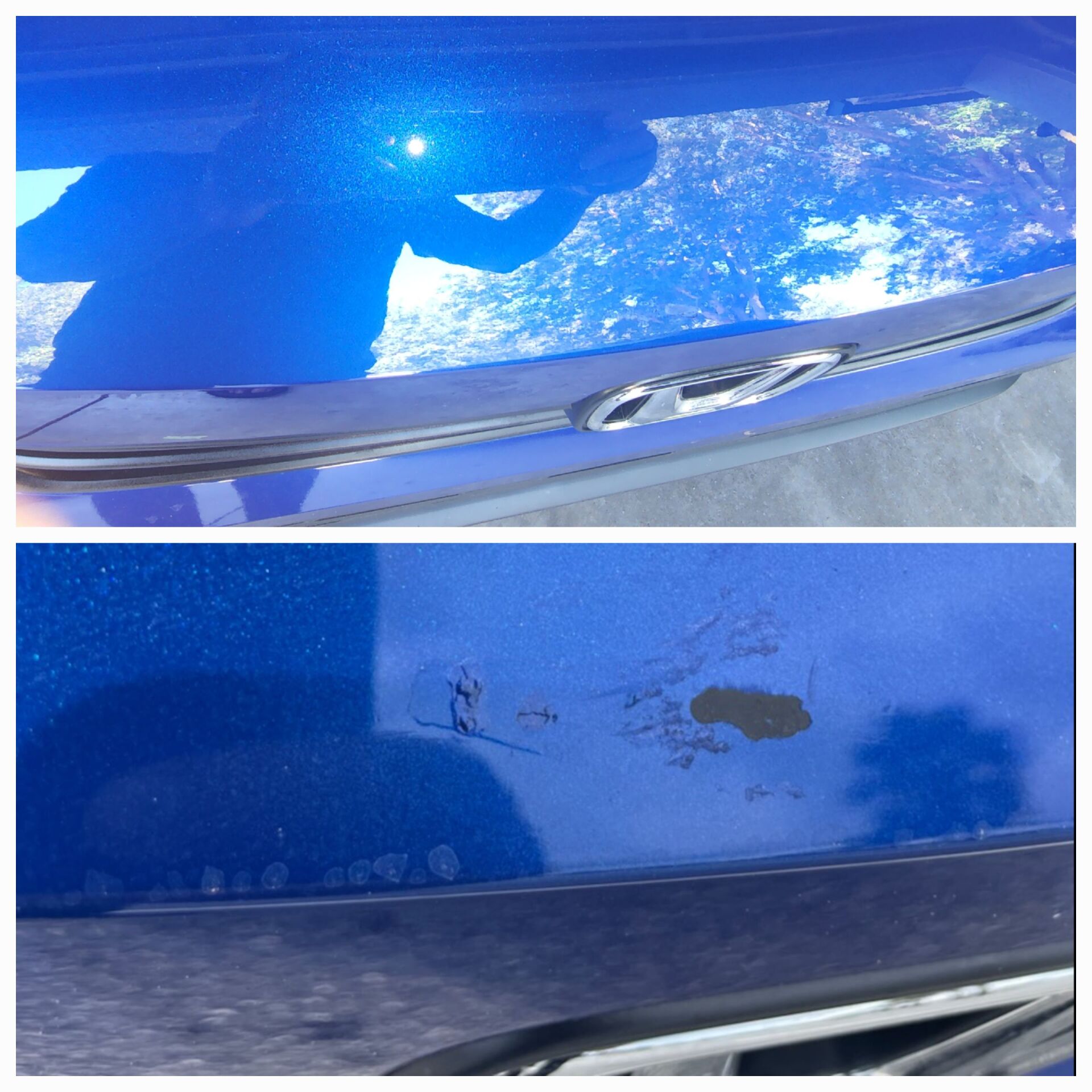 Paint Correction Scratch Removal Riverview, FL