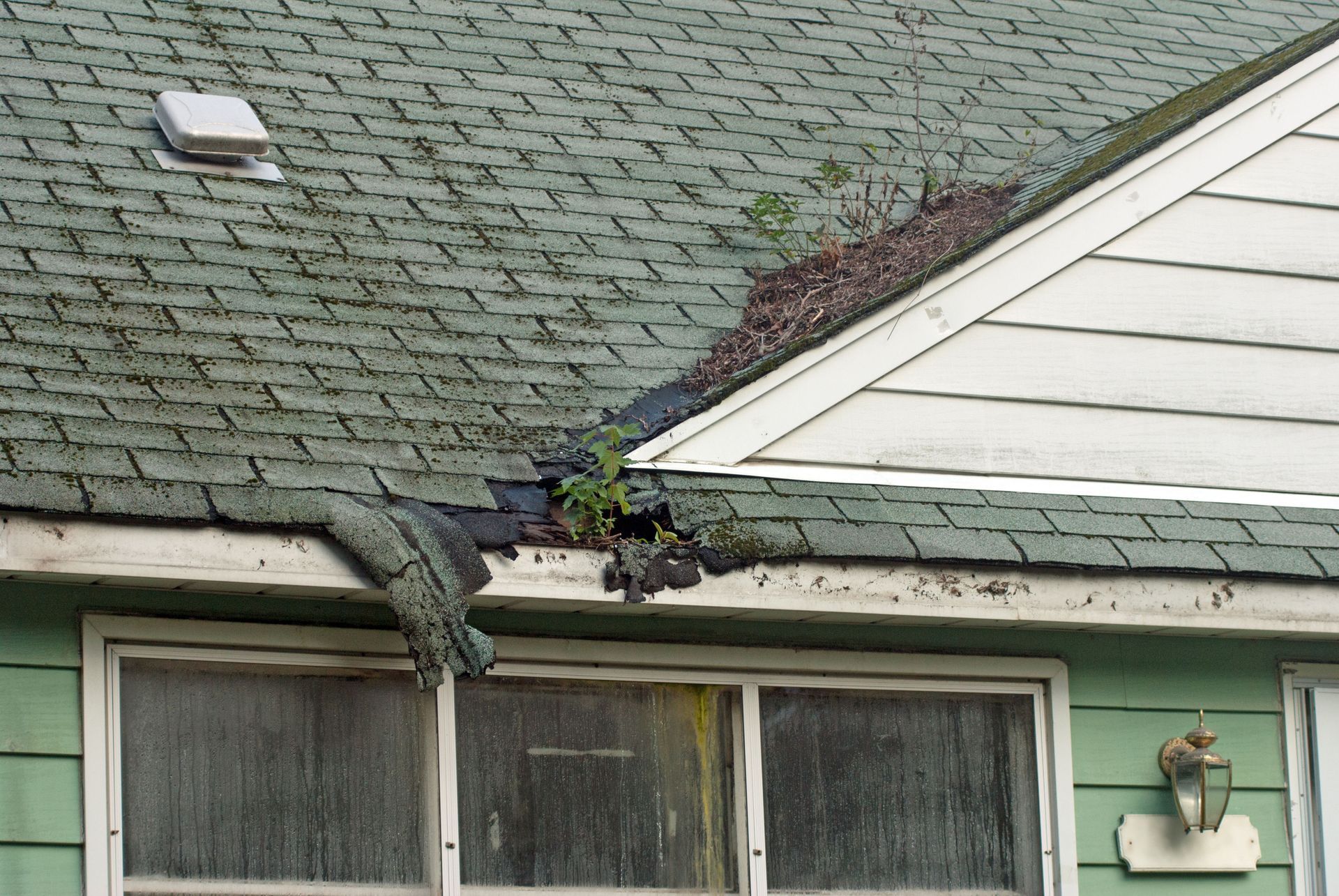 Damaged house roof with missing shingles and vegetation growing in the gap above a window.