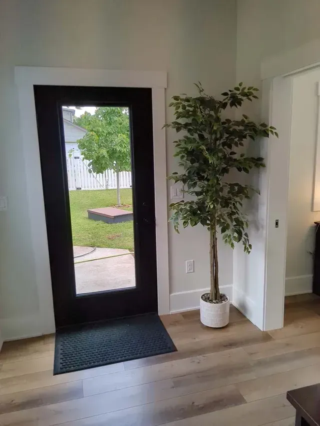 A black door with a clear glass panel in a white-walled room, a tall potted plant beside it.