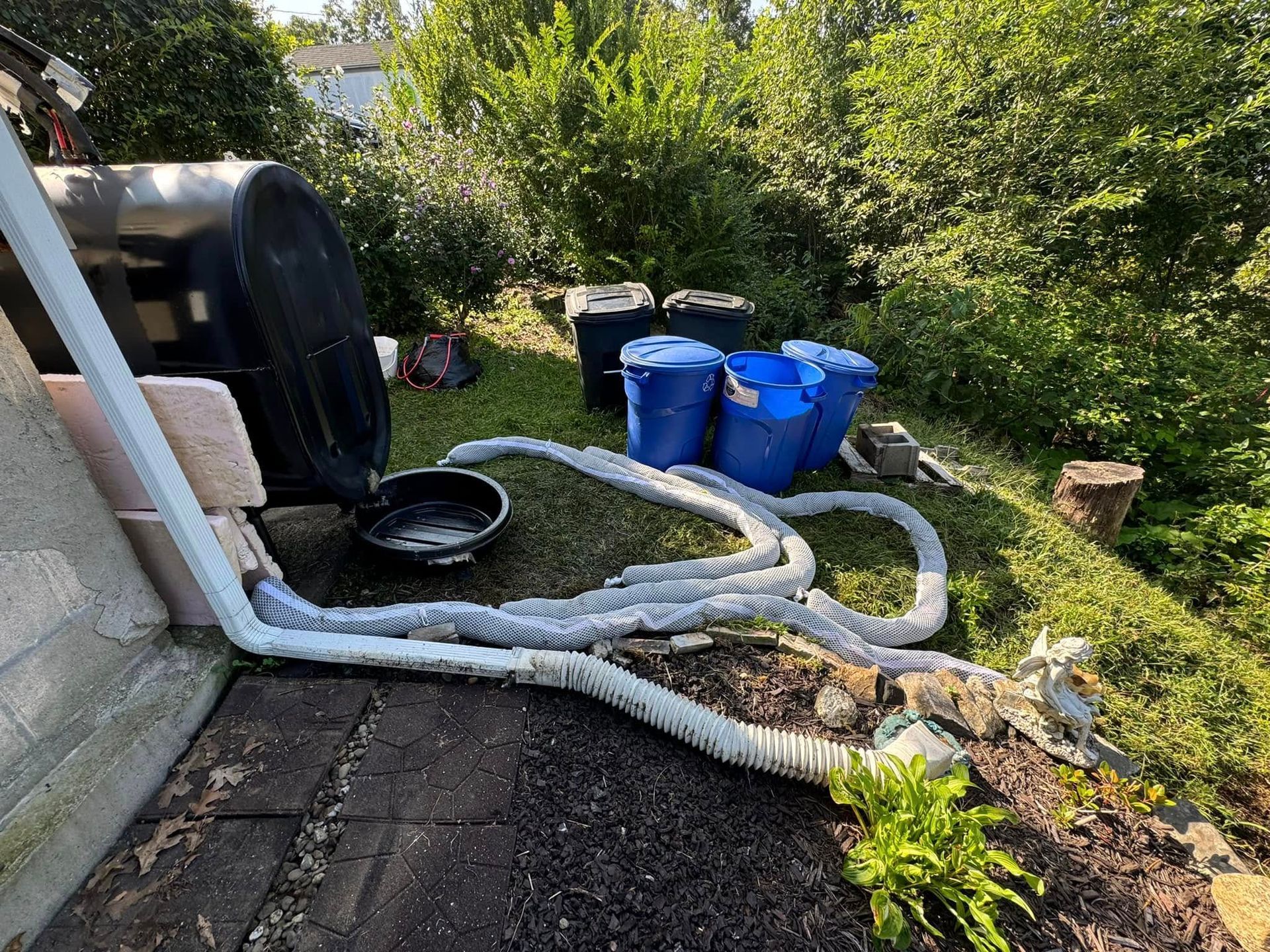 A rain barrel next to a house with a white downspout extender and multiple blue barrels on the grass.