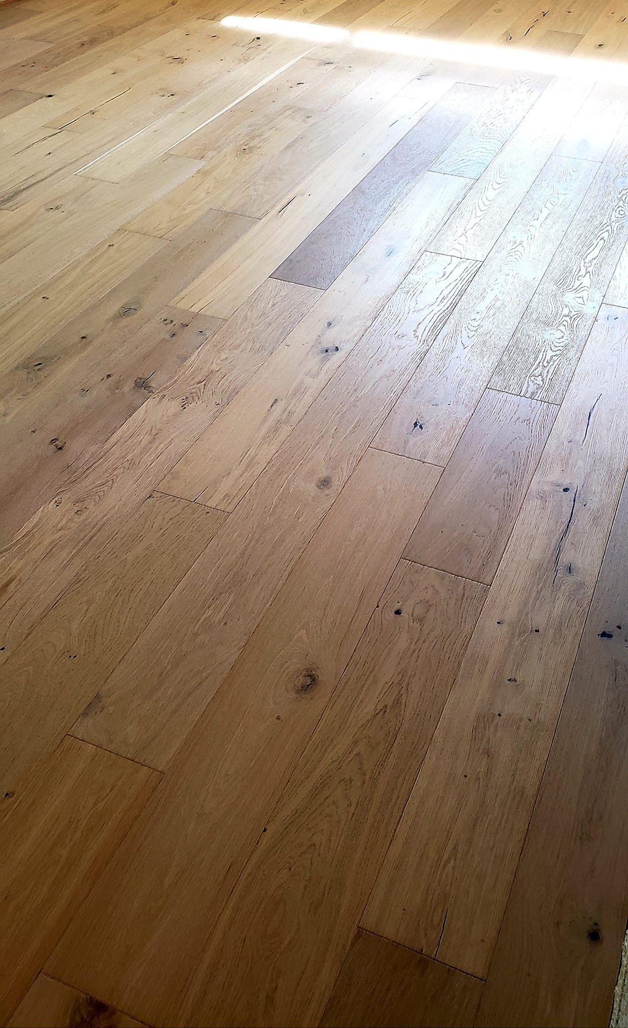 Wooden floor with light brown planks. Sunlight shines on a section, creating a light spot.