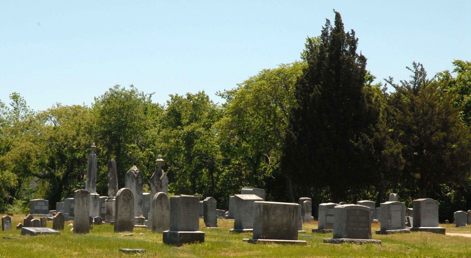 Graveyard with numerous tombstones and lush green trees under a clear blue sky.