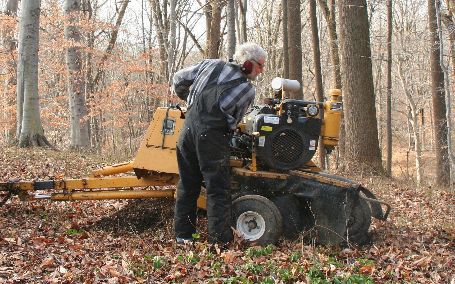 Stump Grinding