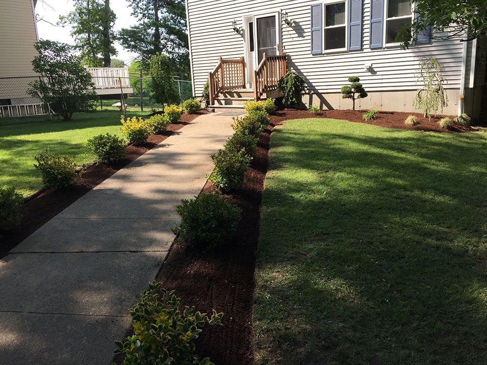 A sidewalk in front of a house on a sunny day.