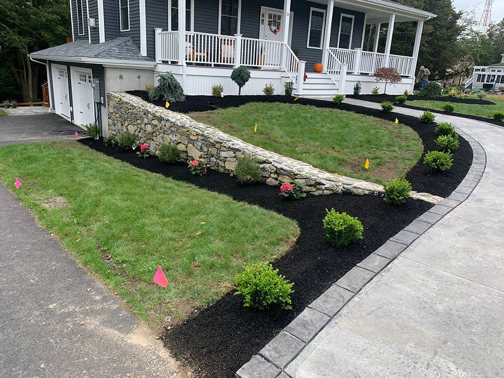 Beautifully landscaped front yard with mulch.