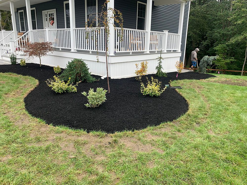 Well-maintained front yard with mulch and landscaping, including a variety of plants.