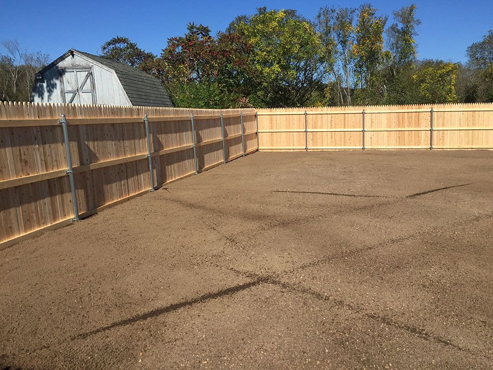 Wooden fence and trees behind.