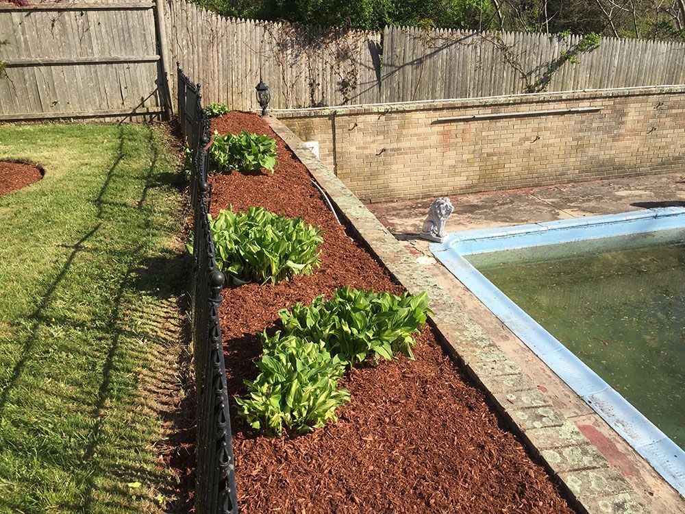 A beautiful garden with lush plants and a protective fence surrounding it.