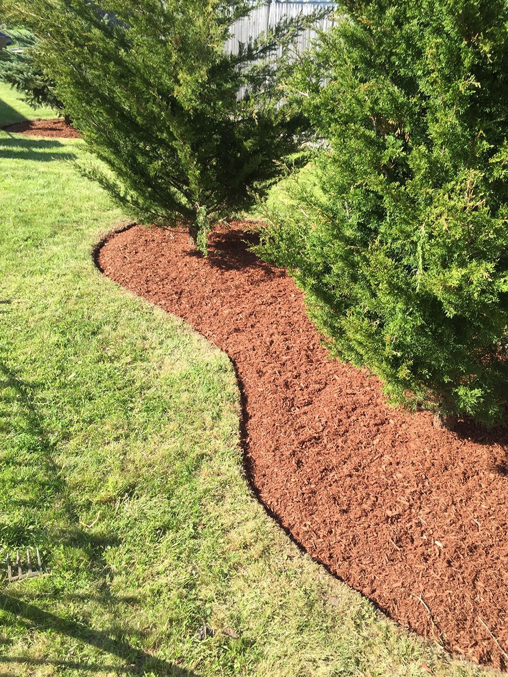 A beautiful lawn with mulch and trees in the background.