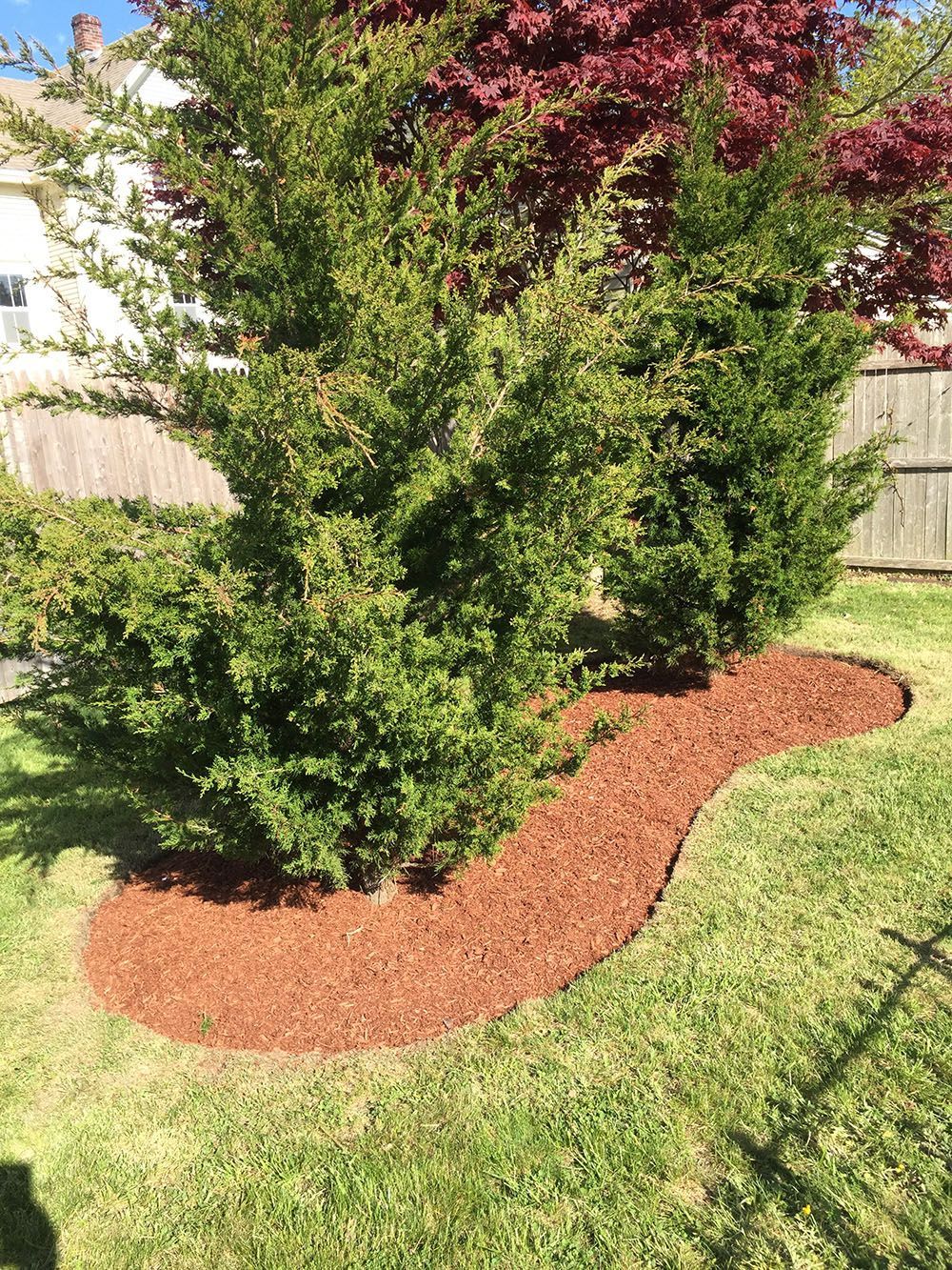 Shrub garden and a green lawn.
