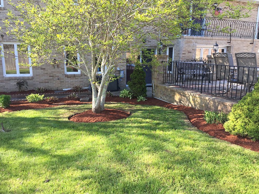 Green lawn with plants and tree.
