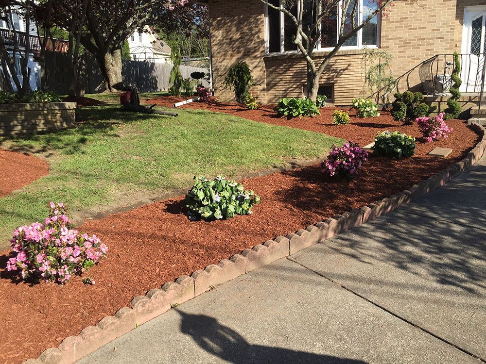 House with mini garden and concrete walkway.