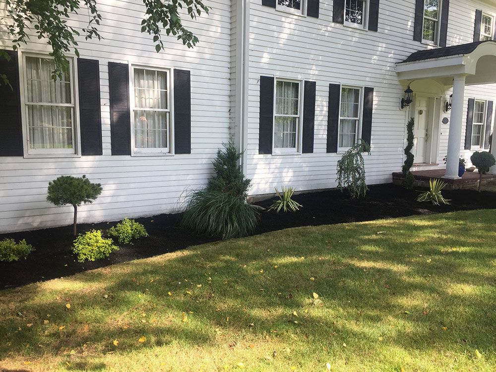 White house with pocket garden and mini plants.