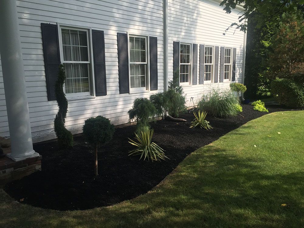 House with pocket garden and mini plants.