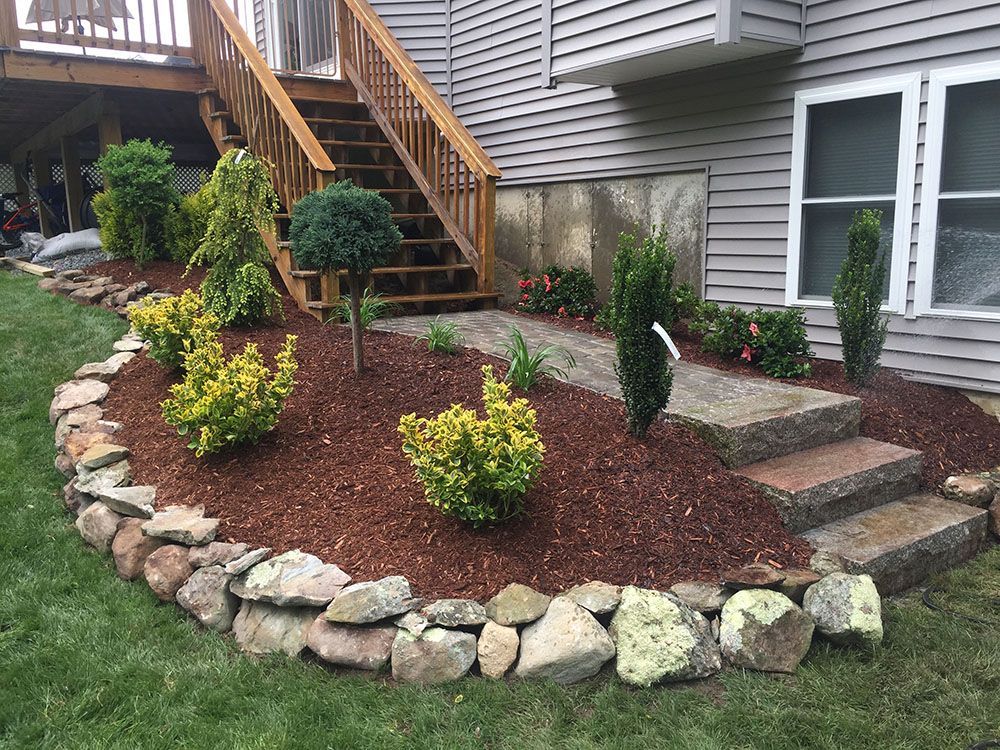 Concrete steps and mini landscape garden.
