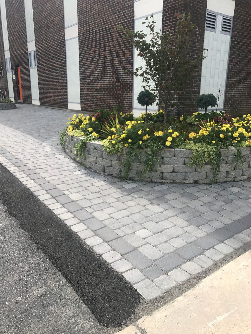 Concrete walkway and a plant box with yellow flowers.