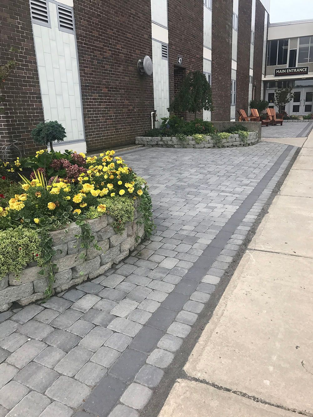 Concrete driveway and a plant box with yellow flowers.