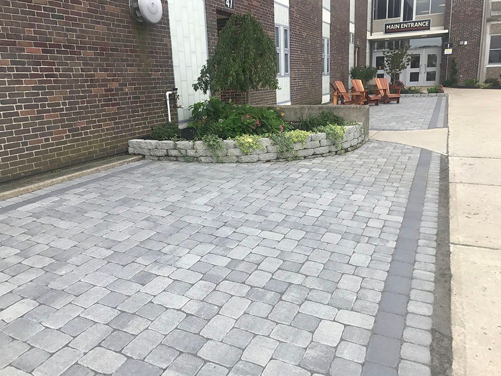Concrete driveway and a box plant.