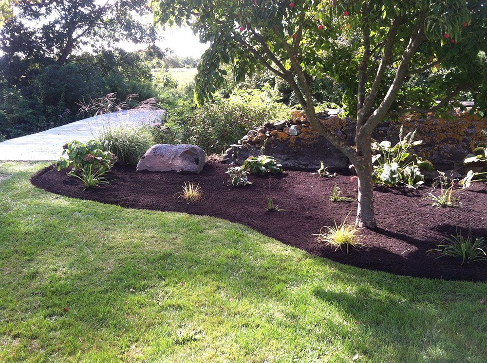 A yard garden featuring mulch and a variety of plants.