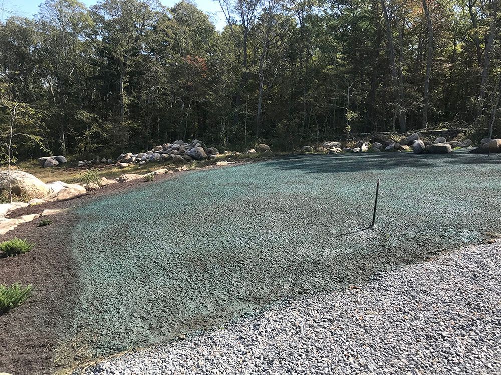 A forest and gravel lawn.
