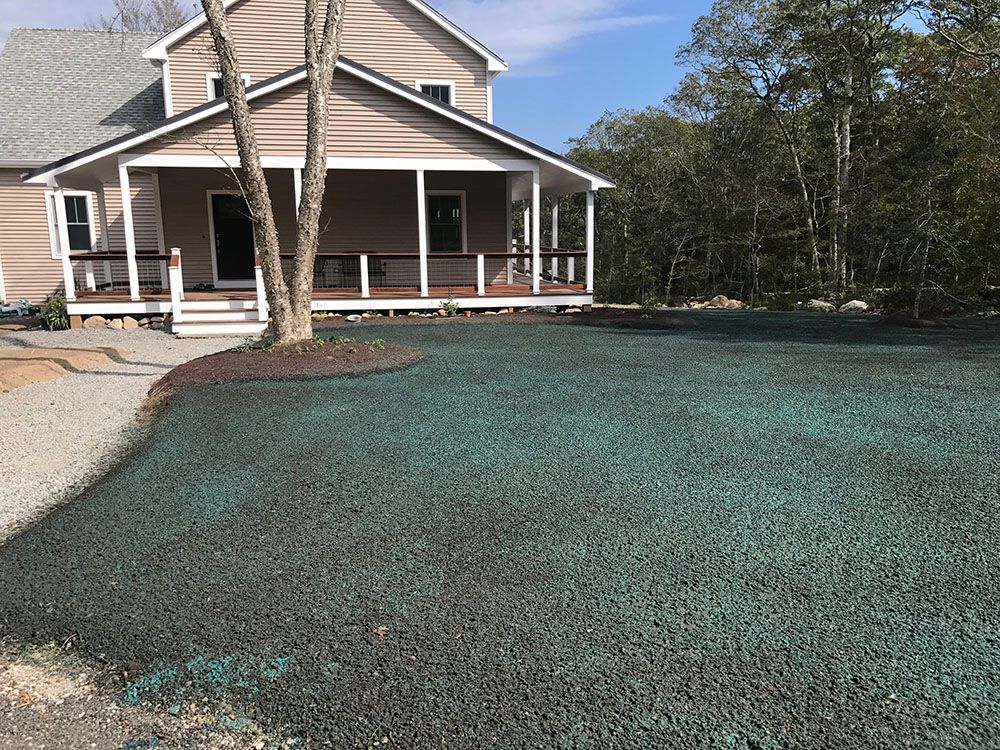 House with gravel driveway and trees.