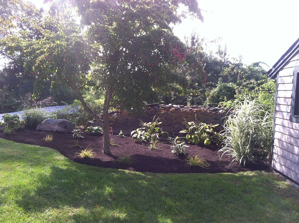 A garden with mulch and various plants in the yard.