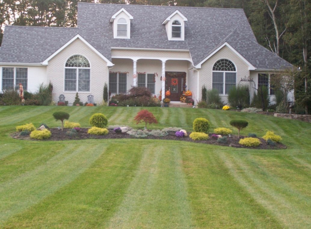 Stone garden with mini plants.