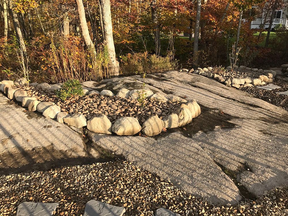 Stone garden with plants and trees.