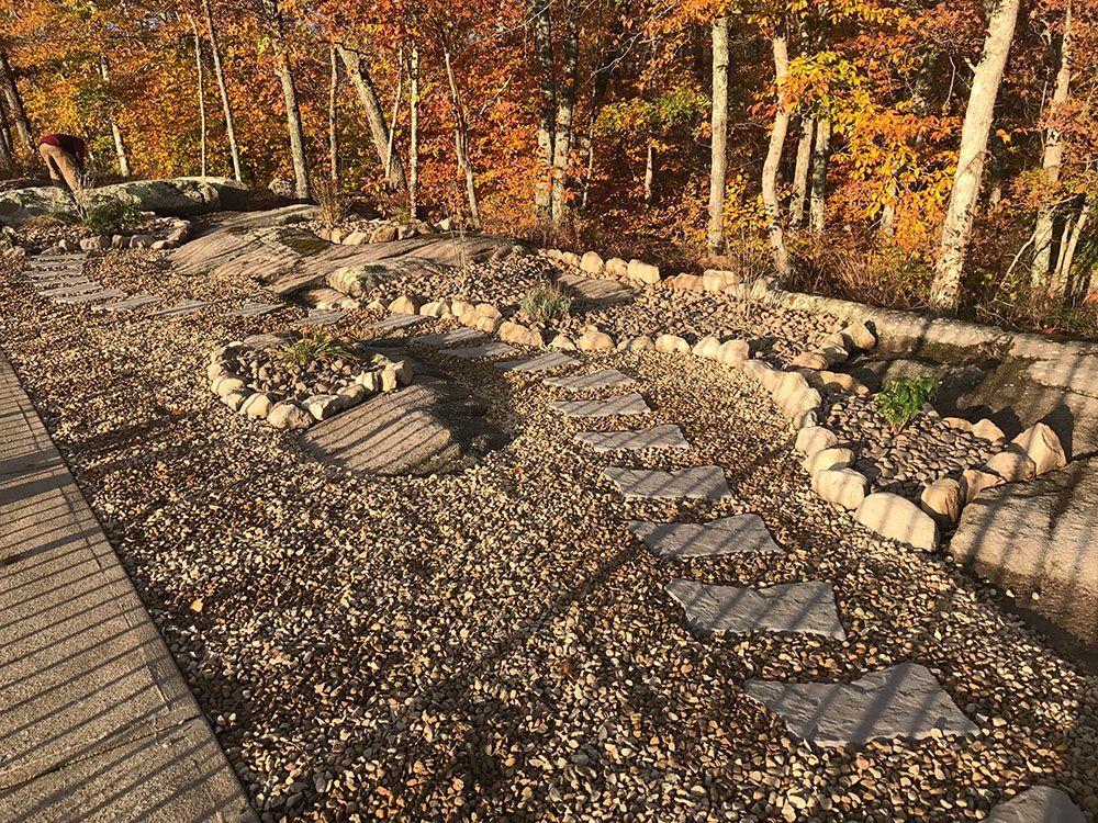 Stone garden with mini plants.