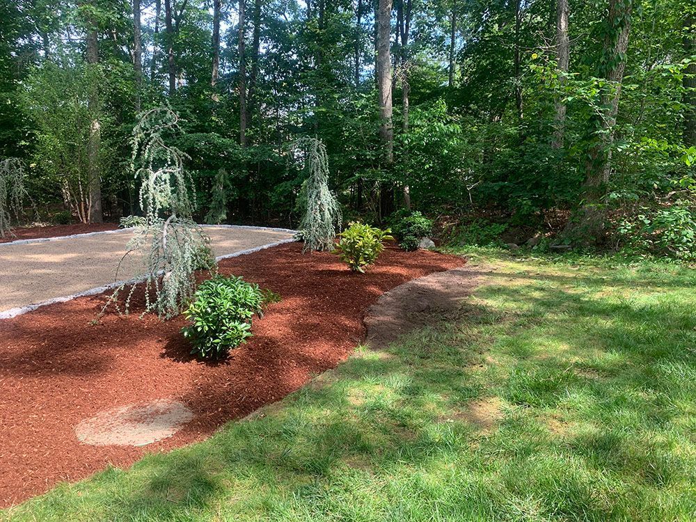 Landscape plants and trees.