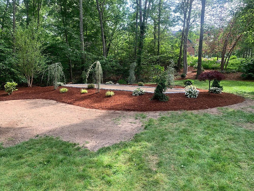 Landscape garden with trees.