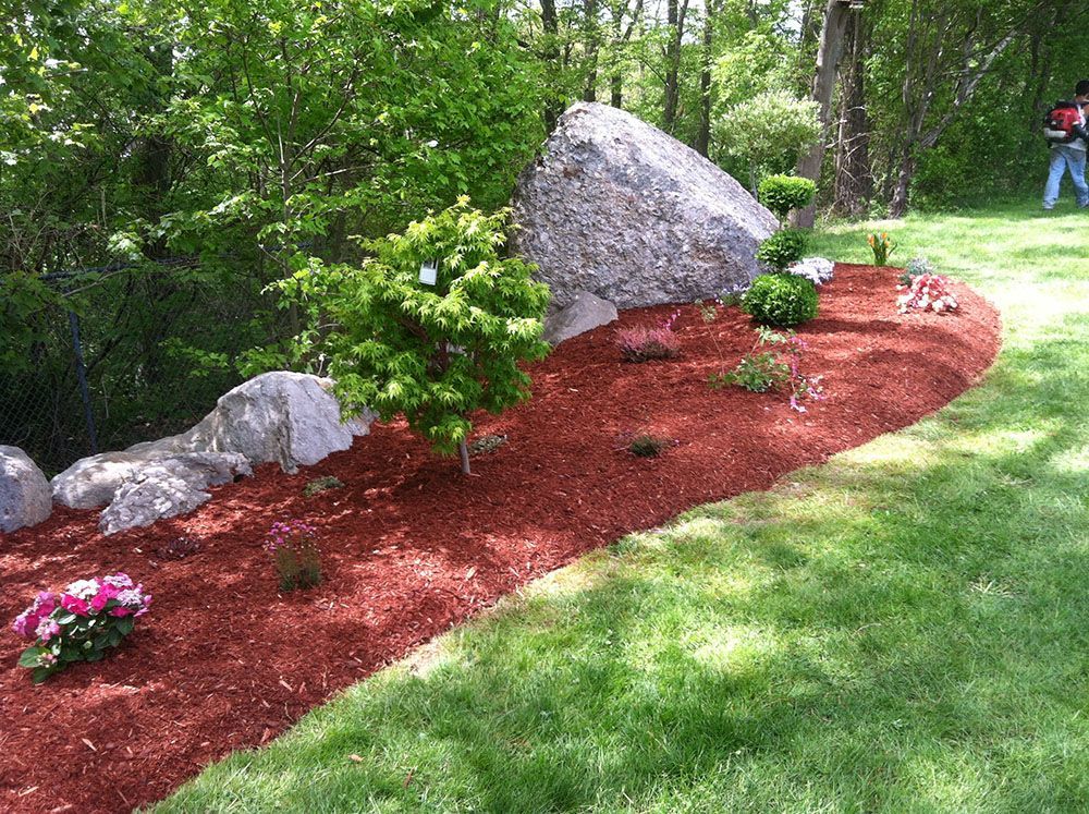 Image of a solitary rock with flowers on a grassy field.