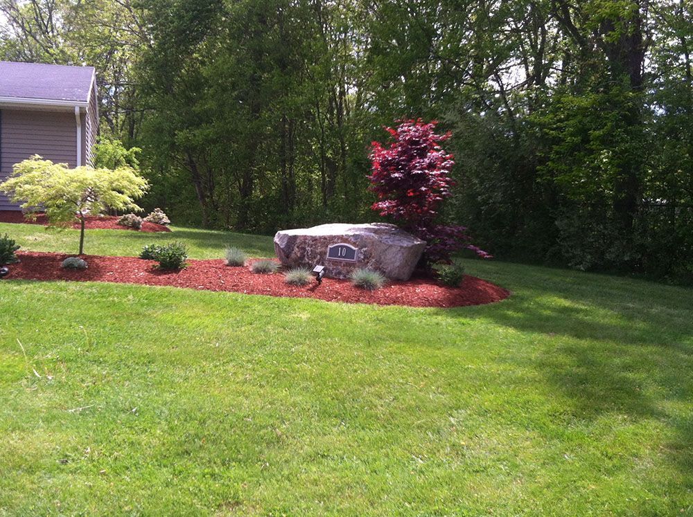 Grassy lawn with a single rock in the center.