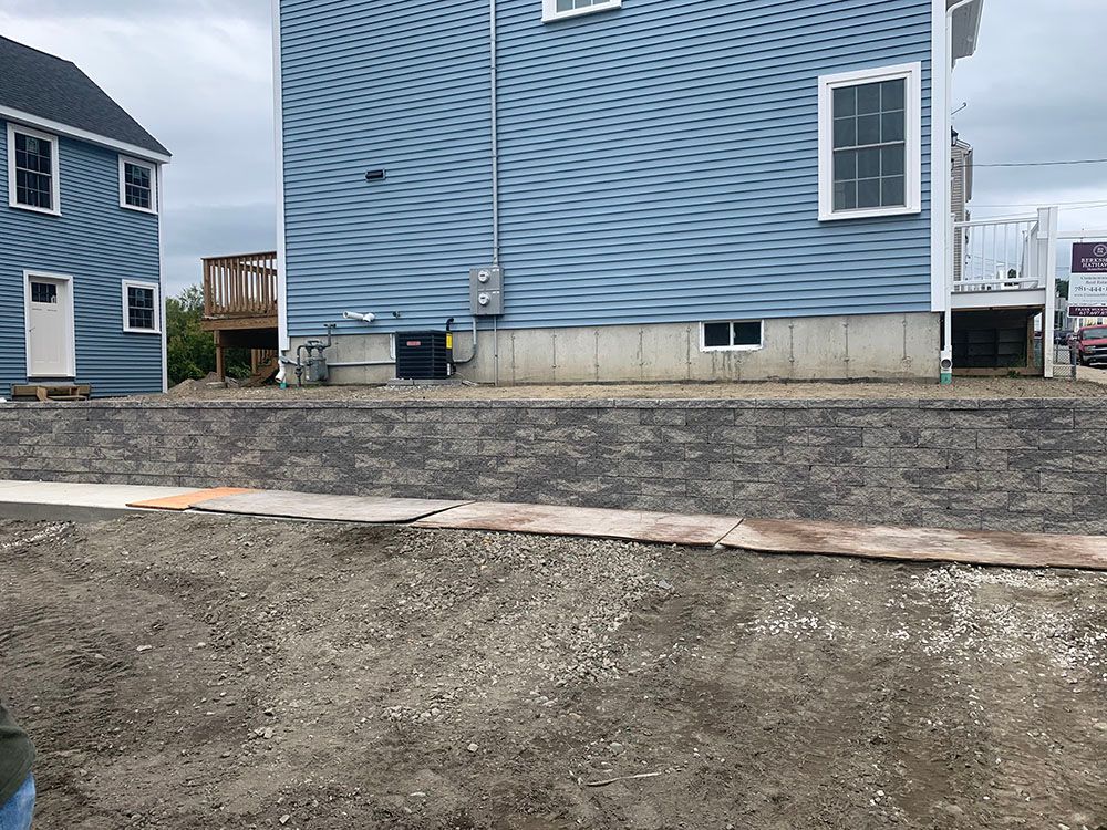 Backyard of the blue house.