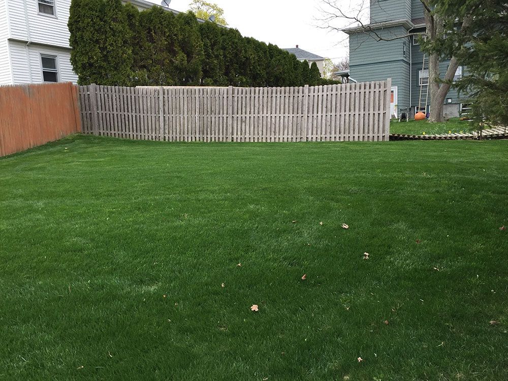 A well-maintained backyard lawn.